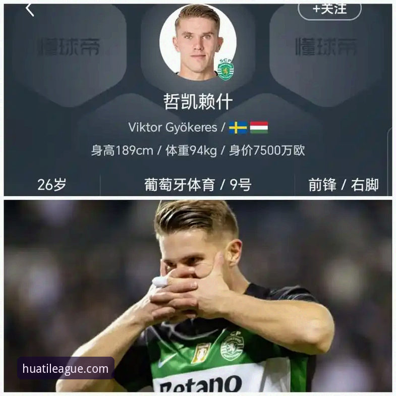华体会手机版 资深体育迷分享:哲凯赖什20球里程碑背后的观赛实战心得